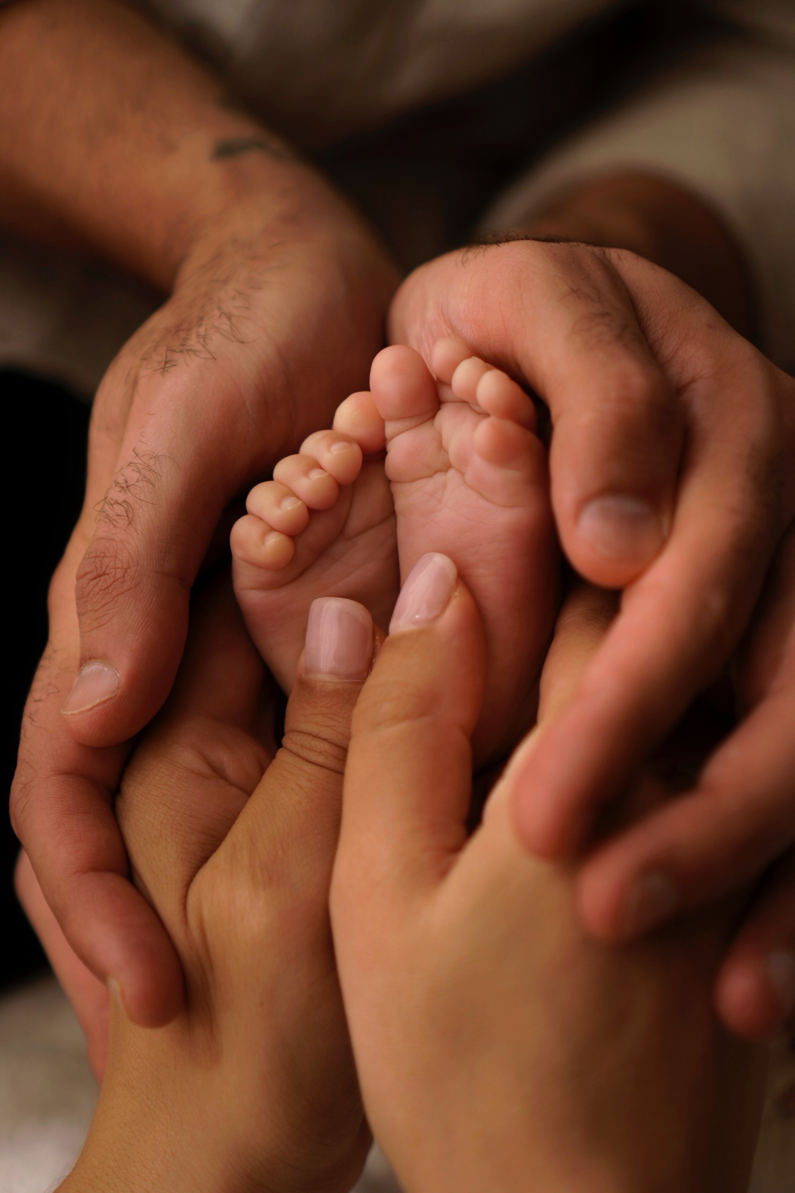 Newborn baby feet resting in parents' cupped hands