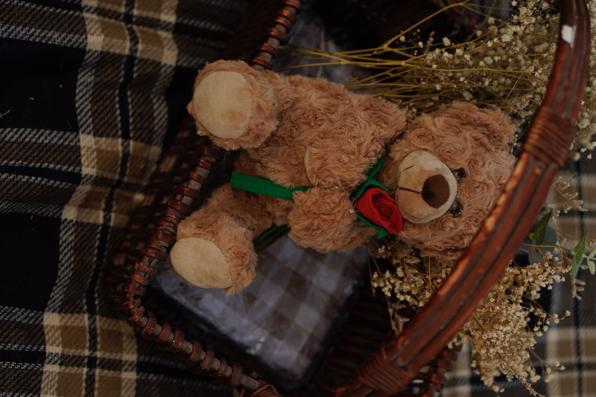 Two teddy bears tucked in a picnic basket