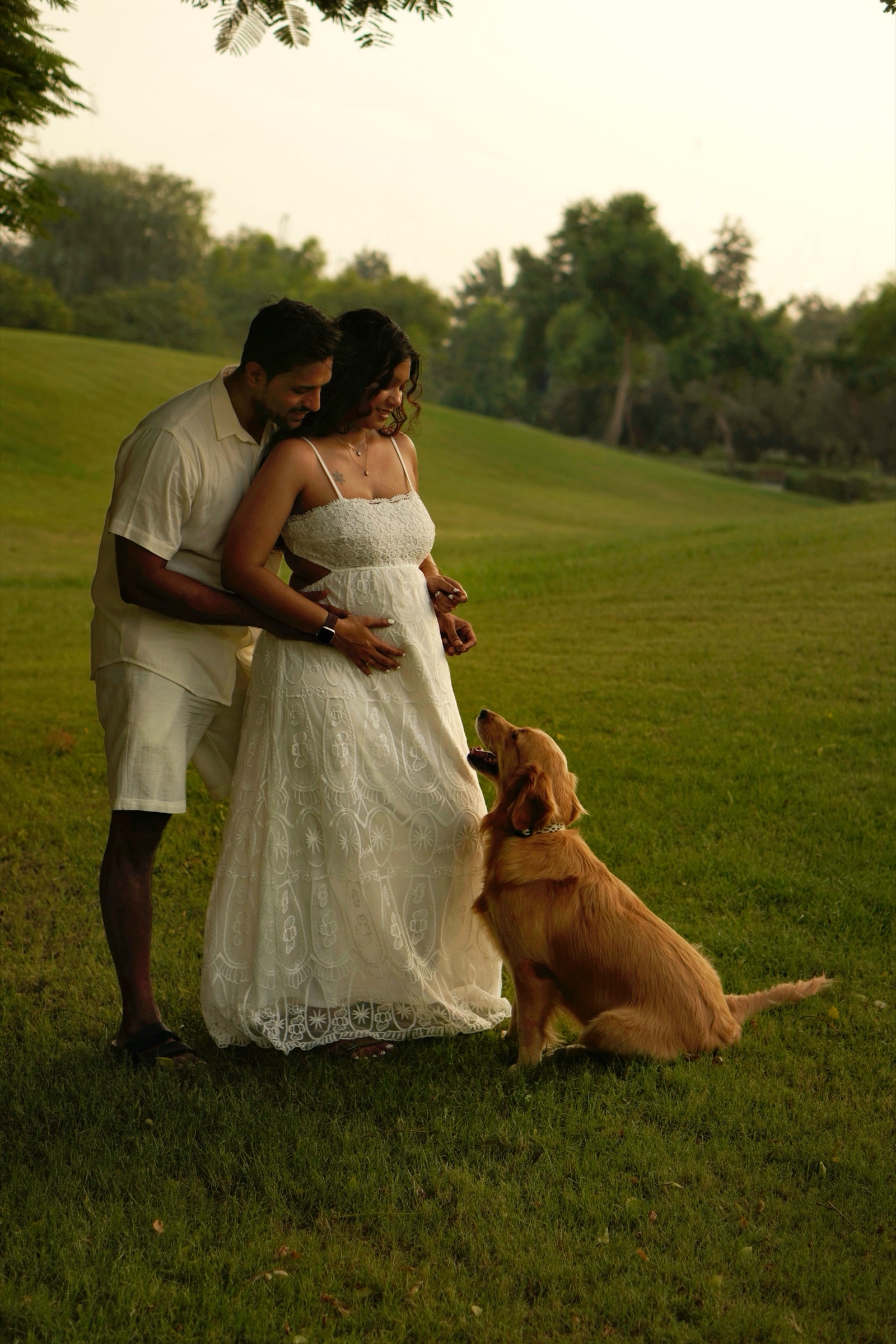 Expecting couple with a golden retriever in a field