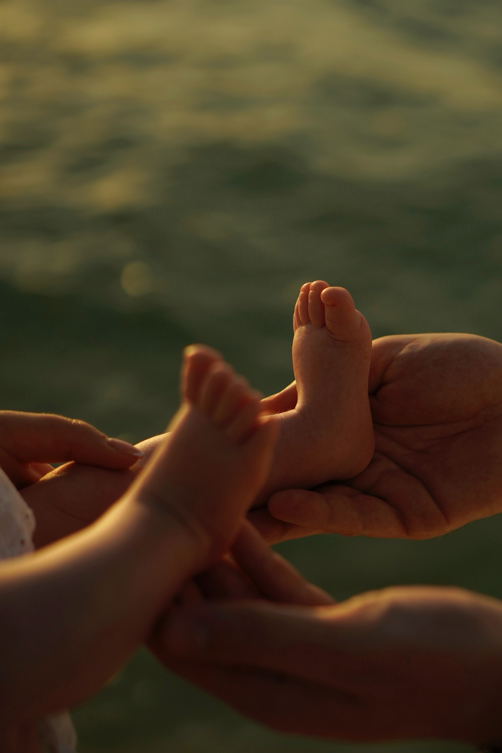 Baby's feet in parents' hands, golden light